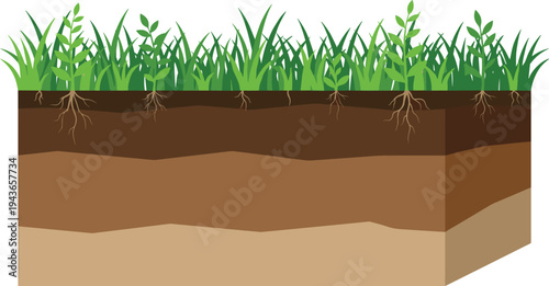 Detailed illustration showing an underground cross-section of soil layers with green grass growing above and visible root systems, representing a healthy natural environment and geological composition