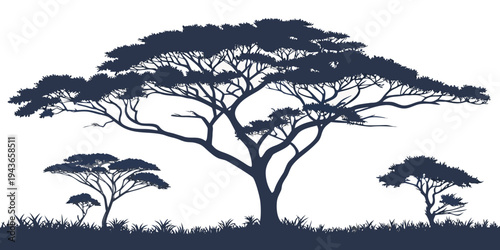 Silhouette of acacia trees on savannah landscape with grass