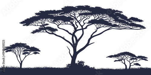 Silhouette of acacia trees on savannah landscape with grass and bushes