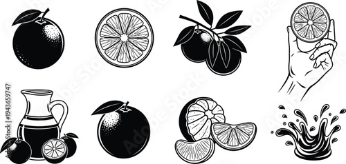 Vintage Black and White Citrus Fruit Illustration Set Featuring Oranges, Lemons, and Juices for Retro Food and Beverage Designs