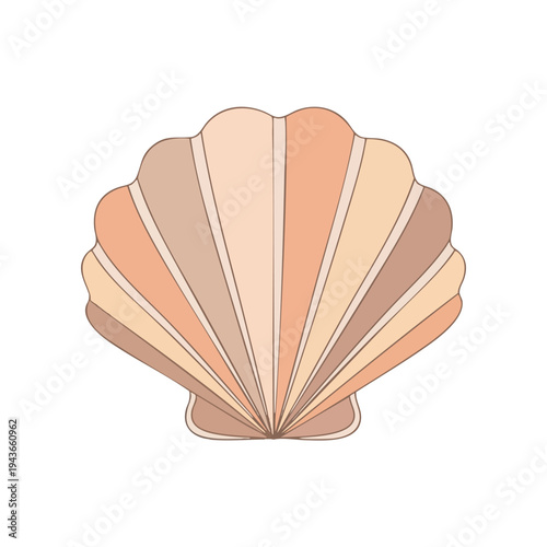 Seashell with radiating segments in muted, warm tones against a white background