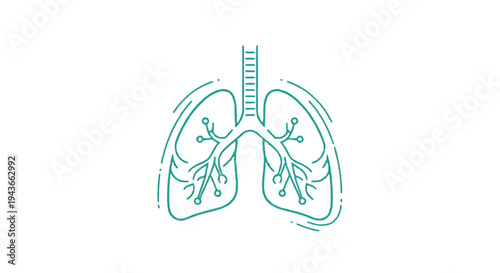 Stylized illustration of human lungs and trachea.