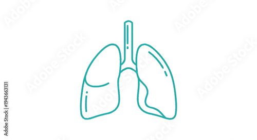 Stylized illustration of human lungs with a teal gradient outline.