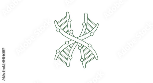 Stylized illustration of intertwined DNA double helix strands.