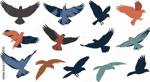 Flying bird silhouettes collection in dynamic poses, colorful hawk and eagle style birds isolated vector illustration set
