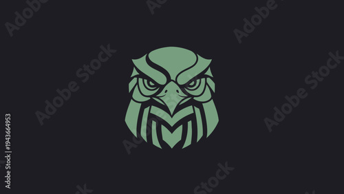 Stylized Owl Head Emblem with Intense Gaze.