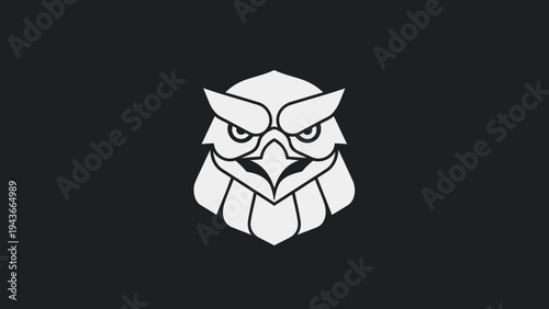 Stylized Owl Head Emblem with Intense Gaze.