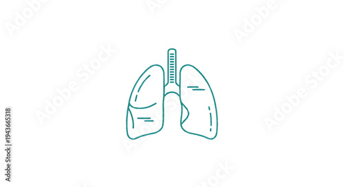 Stylized Line Art Illustration of Human Lungs.