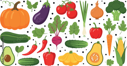 Fresh Vegetables Vector Set with Pumpkin, Eggplant, Tomato, Broccoli, Carrot, Corn and Healthy Organic Garden Produce