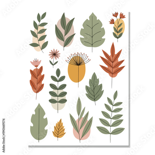 Illustration of botanical elements, with leaves and flowers