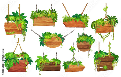 Wooden sign boards with jungle forest liana vines and plant leaves, vector game UI. Cartoon hanging wood signboards and signages, road signs and arrow banners with jungle trees and monstera leaves
