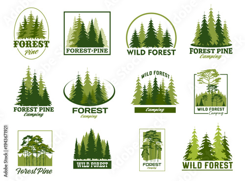 Pine trees forest silhouette icons, park and outdoor camp vector symbols set with evergreen woods in minimal line geometric frames. Wild forest camp or park green icons with pine, fir or spruce trees