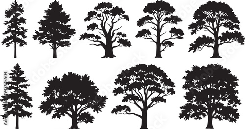 set of forest tree silhouettes black vector isolated on white background