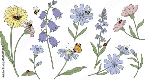 Hand drawn wildflowers with bees butterflies and ladybugs, pastel botanical meadow flowers nature pollinator vector illustration set