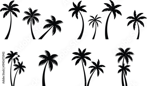 Set of tropical palm tree silhouettes collection, summer beach island nature clipart for travel, landscape design, flat vector illustration