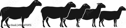 Sheep silhouettes in standing posture, livestock concept for agriculture, cad drawing flat vector illustration, farm animal reference, wool production design
