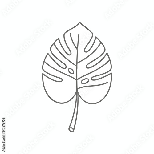 Simple line drawing of a monstera leaf with distinct fenestrations