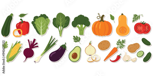 Vegetable assortment illustration, colorful healthy food artwork with zucchini pepper lettuce broccoli tomato corn carrot garlic herbs, flat vector design