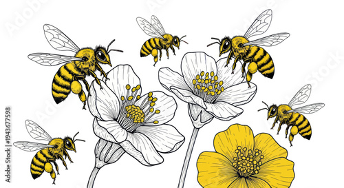 Bees and Flowers illustration - Nature, Wildlife, Insects, Spring, Summer