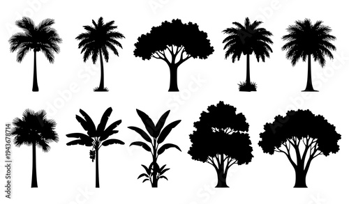 Tropical tree silhouettes vector set shady palm and jungle trees isolated on white background