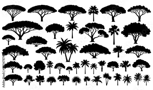Tropical shady tree silhouettes vector set jungle forest trees isolated on white background