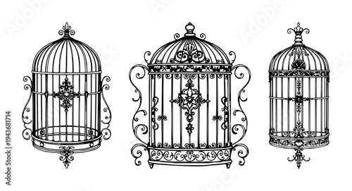 Birdcage set with ornate Victorian line art featuring birdcage, decorative latch, floral flourishes with black ink and white background
