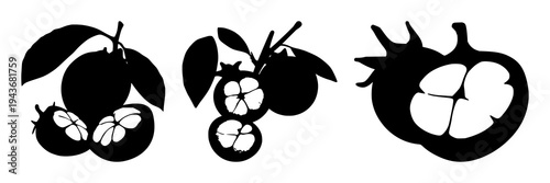 Mangosteen cross-section set with solid black silhouette on white background featuring laboratory-grown, exotic, future food with fruit and biology