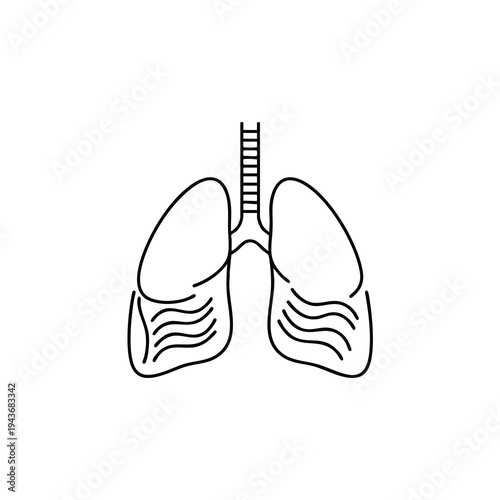 Minimalist line art of human lungs with a trachea