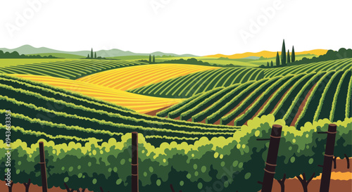 Rolling vineyard landscape with green rows of vines and golden fields, rural scenery