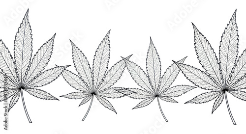 Cannabis Leaf Border Pattern - Hand Drawn Sketch Illustration