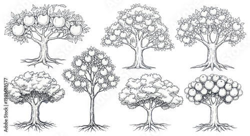 Collection of Hand-Drawn Apple Trees with Fruits and Roots