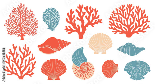 Coral Reef Elements and Seashells Collection - Coral, Shells, Ocean Life