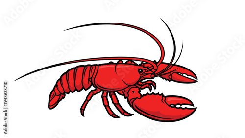 Large red lobster is depicted in a detailed illustration suitable for seafood restaurant menus and marine themes.