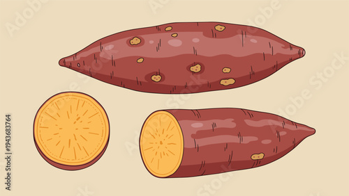 Nutritious sweet potato is shown whole and in sliced sections to illustrate its vibrant orange color and texture.