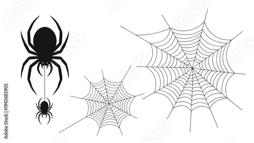 Multiple black spiders and various styles of complex spiderwebs are arranged across a plain white background.