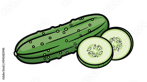 Fresh green cucumber is shown alongside two circular slices revealing the inner seeds and texture in a clean vector drawing.