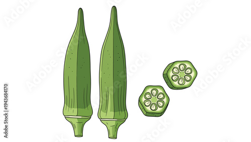 Vertical illustration of two whole okra pods and two sliced rounds features a detailed drawing style for botanical projects.