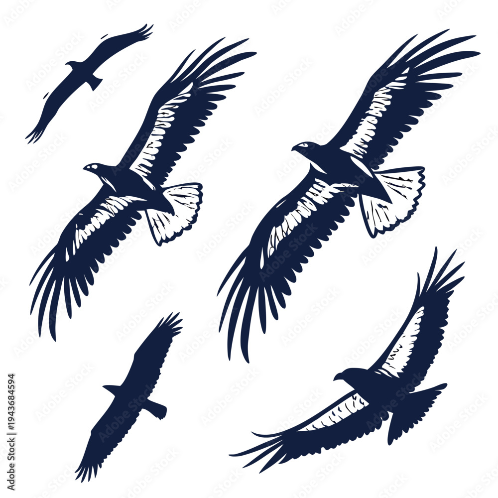 Obraz premium Flying hawk silhouettes set with detailed wing feathers isolated on white background depicting majestic birds of prey soaring through mountain skies