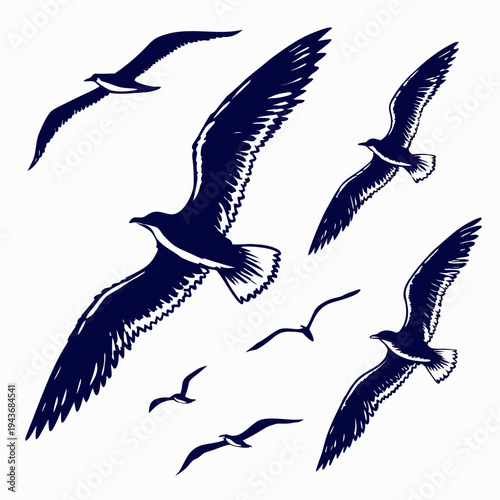 Flying seagull silhouettes set in marine style isolated on white background with oceanic birds soaring and gliding through coastal air and skyways