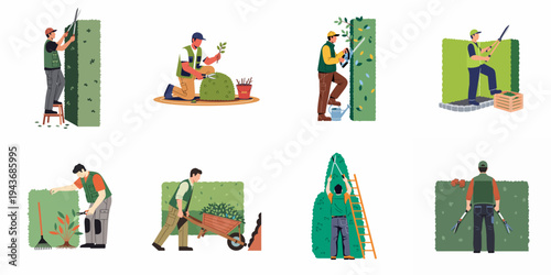 Professional gardeners and landscapers performing various hedge maintenance tasks with tools, flat vector illustration collection on white background.