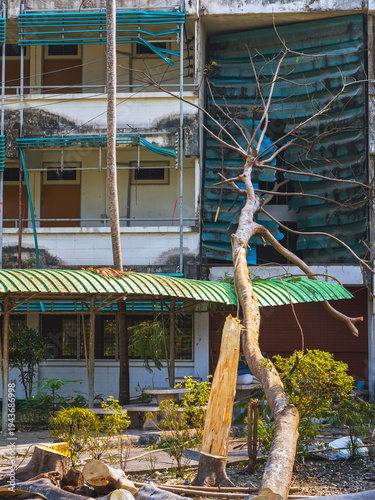 Large tree branch fallen on building roof after heavy storm, causing property damage. Large fallen tree branch crashed into building, causing significant damage to roof and facade. Property damage.
