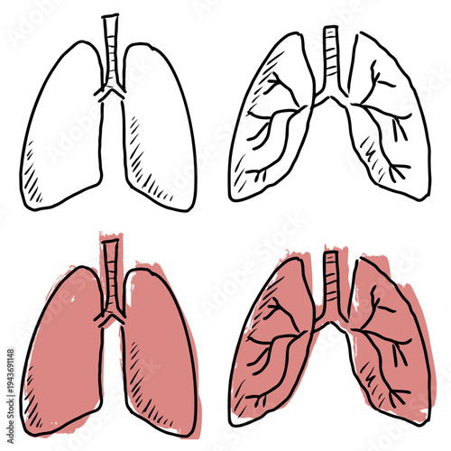 Set editable sketch drawing lungs vector for respiratory health sites. Ideal for symbolizing rough anatomy concepts, sketchy biology, and hand drawn internal medical organs.