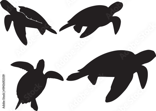 Silhouettes of sea turtles swimming in a marine environment