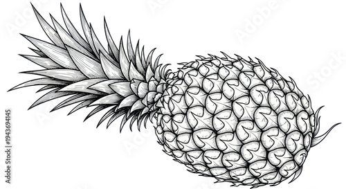 Hand-drawn pineapple sketch in black and white, isolated on white background.