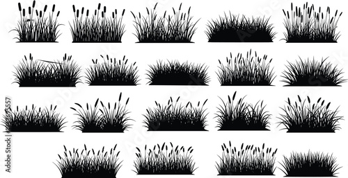 Vector set of black grass and cattail silhouettes including reeds bulrushes and meadow plants isolated on a white background for landscape design.
