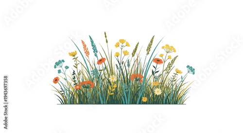 Floral illustration of wildflowers and grasses isolated on white