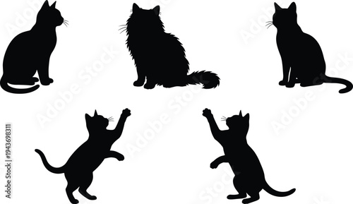 Cat silhouette set, sitting jumping playful kitten domestic pet black vector isolated illustration collection