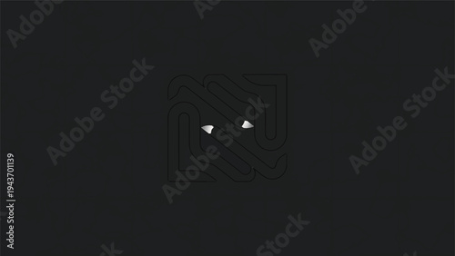 Two bright white abstract shapes against a dark background.