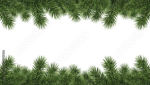 Winter holiday border made of green pine branches at the top and bottom of the frame with copy space in the center.