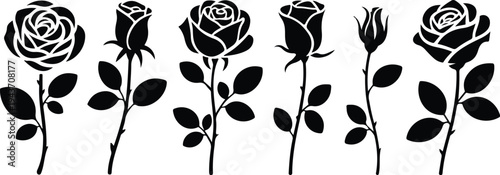 Decorative rose flower silhouette set with elegant leaves floral botanical element collection vector illustration designPrint